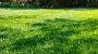 Find Tree Removal Service in Southampton Find Tree Removal Service in Southampton