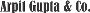 top CA in lucknow | CA in lucknow | chartered accountant in 