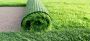 Affordable and Realistic Artificial Grass Carpet in Dubai