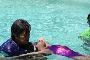 Find the Best Water Fitness & Aquatic Classes in Hamptons