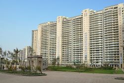 DLF The Magnolias in Gurgaon for Rent – Ultra-Luxury Living