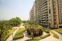 DLF Aralias Golf Course Road For Rent – Ultra Spacious 4 BHK