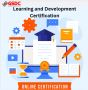 Learning and Development Certification is Powering the Next 