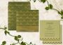 All in One Wedding Invitations | Convenient and Elegant Desi