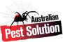 Australian Pest Solution
