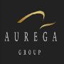 Dubai Certified Tax Agents