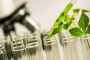 BioAg Innovations: Optimize Flowering Development for Maximu