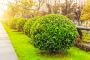 Best lawn care and maintenance services in Tennessee