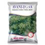 Leading Fennel Seeds Manufacturer and Exporter from India