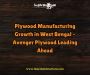 Plywood Price in Kolkata –Everything You Need to Know Before