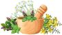 Know about your Body and Get free Health with Ayurveda Know about your Body and Get free Health with Ayurveda