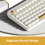 IZO Mac Mechanical Keyboard