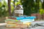 BA LLB Fees Structure at BML Munjal University BA LLB Fees Structure at BML Munjal University