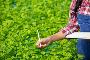 Are You Looking for Weed Control in Adelaide