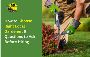 Looking for a local gardener in Adelaide