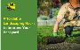 Looking for an Affordable Landscaping in Adelaide? Looking for an Affordable Landscaping in Adelaide?