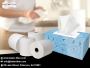 From Pulp to Perfection: The Role of Adhesives in Tissue and