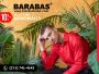 Buy Luxury Men's Designer Clothing Online from Barabas Men Buy Luxury Men's Designer Clothing Online from Barabas Men