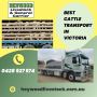 Heywood Livestock & General Carrier-Best livestock transport