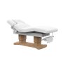 Buy EMER Luxury Spa Table - 4 Motor Spa Bed for Your Salon T
