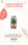 Gummies vinaigre de cidre perte de poids rapide