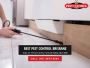Commercial Pest Inspection: Protect Your Brisbane Business