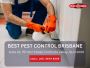 Pest Control Services in Logan Central