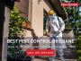 Termite Inspection Services in Brisbane | Protect Your Prope