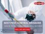 Residential Pest Control Brisbane – Trusted Experts