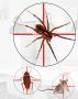Best Pest Control Brisbane – Reliable Pest Control Services 