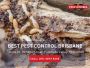 Pest Control Kallangur – Your Local Pest Specialists