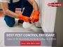 Effective Pest Control for Cockroaches – Brisbane’s Trusted 
