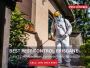 Building Pest Inspections in Brisbane – Ensure Your Property