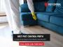 Effective Termite Treatment in Perth: Protect Your Home 