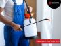 Pest Control Services in Baldivis: Protect Your Property 