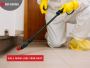 Local Pest Control Perth: Fast, Effective, and Affordable 
