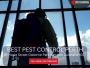 Pest Removal Perth – Safe and Effective Solutions