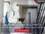 Reliable Pest Control Solutions in Landsdale – Book Now!