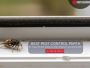 Pest Control Wellard – Trusted Pest Management