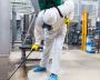 Pest Removal Perth Pest Removal Perth