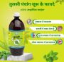 Tulsi Panchang Juice: Combining Ancient Wisdom with Modern 