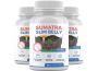 Best Sumatra Slim Belly Tonic Melts Fat Fast – Real Reviews 