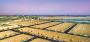 Freehold Plots in Vrindavan