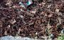 Iron Recycling Services