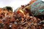 Copper Recycling Services USA