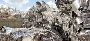 Aluminum Recycling Services USA