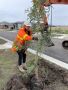 Landscape Maintenance Services for Beautiful Outdoor Spaces