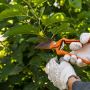 Spring Clean Up Landscaping Spring Clean Up Landscaping