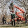 Stump Grinding Services