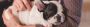 Are You Looking For Veterinary Treatment Equipment